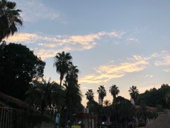 -圣爵菲斯大酒店(长沙世界之窗店)