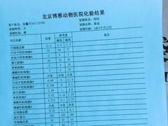 -纳吉亚猫专科动物医院博雅分院