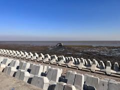 -南汇嘴观海公园
