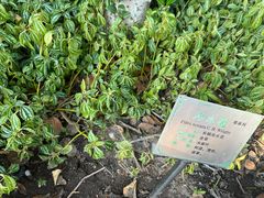 -广州神农草堂中医药博物馆