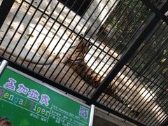 -广东茂名森林公园