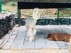 -西部长青自然儿童乐园