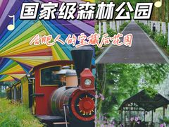 -合肥滨湖国家森林公园