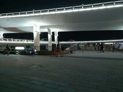 -演武大桥观景平台