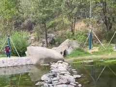 -白水寺森林公园