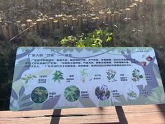 -广州白江湖森林公园