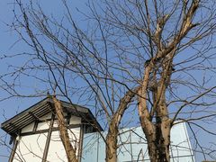 -白鹭湾湿地公园