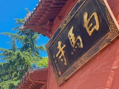 -洛阳白马寺