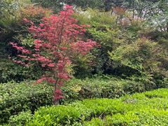 -西安汉城湖景区