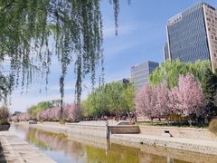 -海棠花溪(元大都城垣遗址公园)