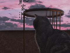 -Catmate·猫肥家润(金润铂宫店)