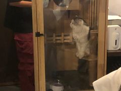 -Mr.Fox狐狸先生超级密室(南山店)