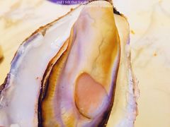 -半岛听涛蒸汽海鲜自助(K11店)