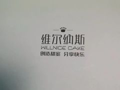 -维尔纳斯·生日蛋糕·动物奶油冰淇淋蛋糕(雨花店)