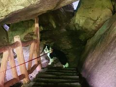 -秦岭终南山世界地质公园翠华山景区