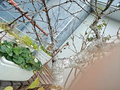 -哈瓦那雪茄酒廊超市(武汉天地分店)