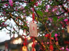 -乌镇西栅景区-月老庙