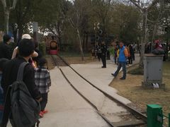 -自然谷恐龙园
