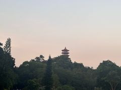 -深圳仙湖植物园