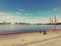 -台场海滨公园船码头