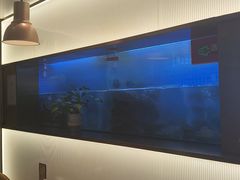 -老板恋上鱼(印象城店)