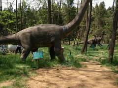 -原山国家森林公园