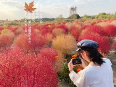 -映月湖中央公园