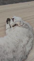 -竹马造型工作室