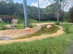 -沈阳森林动物园