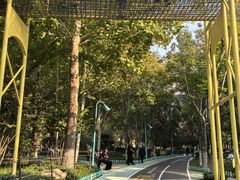-张店儿童公园