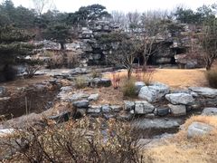 -燕郊植物园