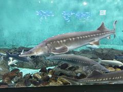 -太平洋海底世界