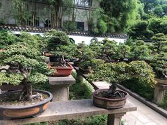 -西湖公园(鼓楼区)