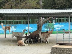 -西安秦岭野生动物园
