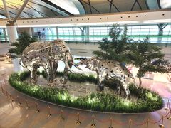 -曼谷素万那普国际机场