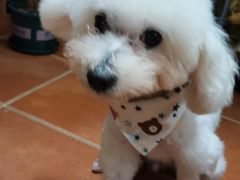 -喵汪宠物生活馆(涞坊路店)