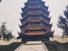 -铁山坪森林公园