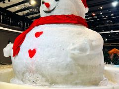 -宁波冰雪大世界(北仑区)