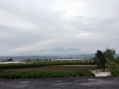 -富田农场