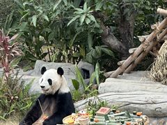 -灵玲国际马戏城