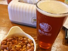 -雪梨精酿 Sydney Coast Brewing(沁春家园店)