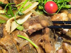 -老板恋上鱼(恒隆广场店)