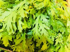 -小叫驴养生驴肉火锅(龙游店)