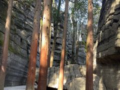 -梭布垭石林景区