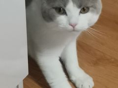 -美联众合24小时·皮肤科·外科·全科诊疗中心(华苑分院)