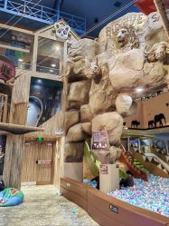 -卡通尼·Safari非洲探索乐园·生日会(金桥国际商业广场店)