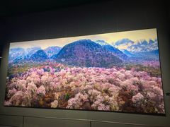 -罗红摄影艺术馆