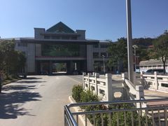 -打洛口岸