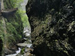 -鹿院坪生态旅游景区