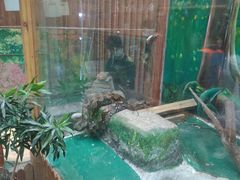 -上海大自然野生昆虫馆(东方明珠·爬宠昆虫探索中心)